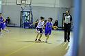 Basket 242017
